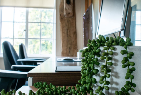 Workstation and greenery inside Croxtons Mill